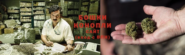 ГАЛЛЮЦИНОГЕННЫЕ ГРИБЫ Майский