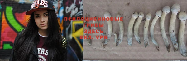 ГАЛЛЮЦИНОГЕННЫЕ ГРИБЫ Майский