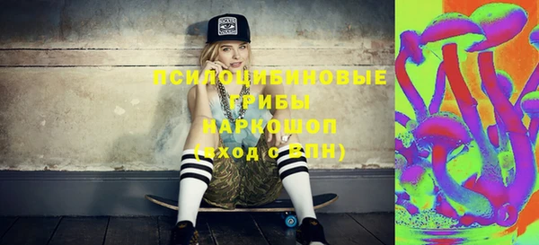 ГАЛЛЮЦИНОГЕННЫЕ ГРИБЫ Магадан