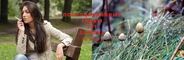 ГАЛЛЮЦИНОГЕННЫЕ ГРИБЫ Магадан