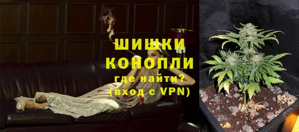 ГАЛЛЮЦИНОГЕННЫЕ ГРИБЫ Майский