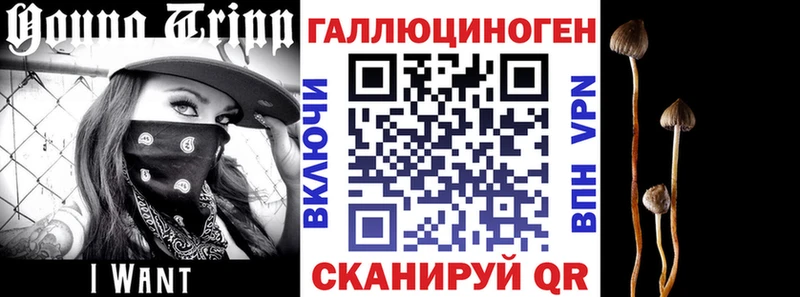 Купить закладки  Йошкар-Ола  Псилоцибиновые грибы MAGIC MUSHROOMS 
