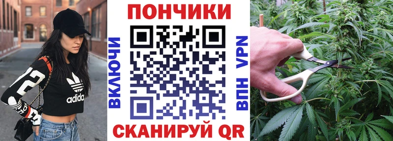 Купить закладки  Йошкар-Ола  Бошки Шишки гибрид 